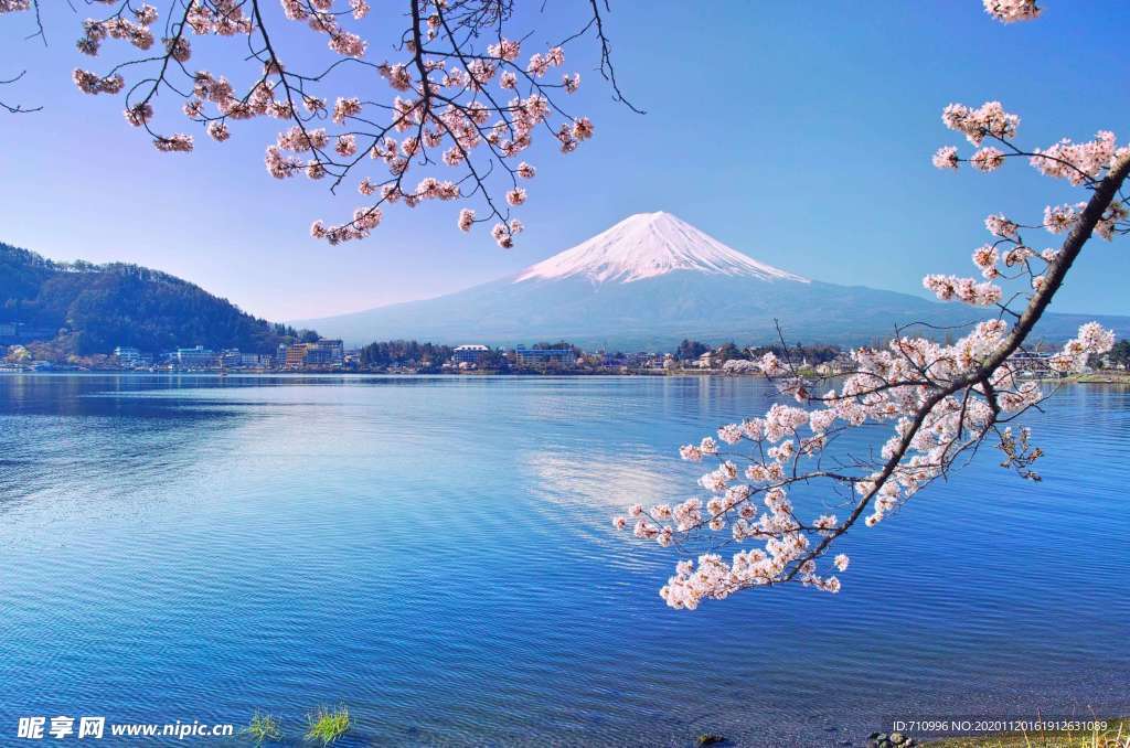 富士山