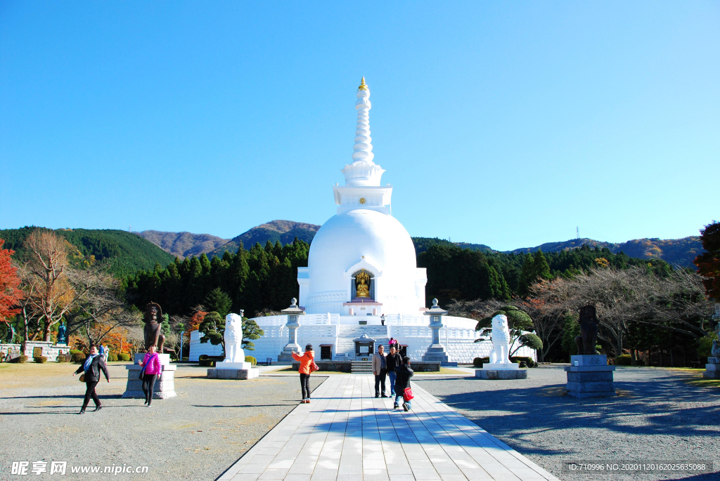 日本河口湖景点