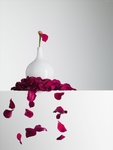 花 矢量花 小碎花