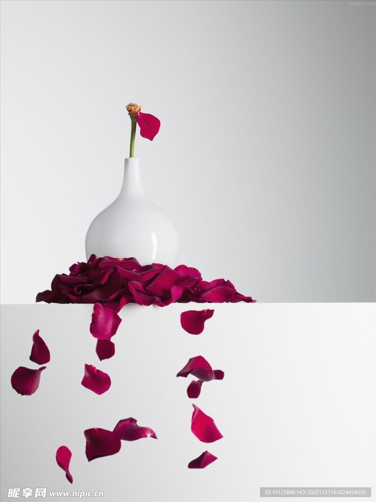 花 矢量花 小碎花