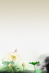 清新 唯美 花儿鲜花
