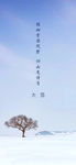 大雪节气海报