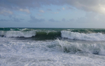 海水