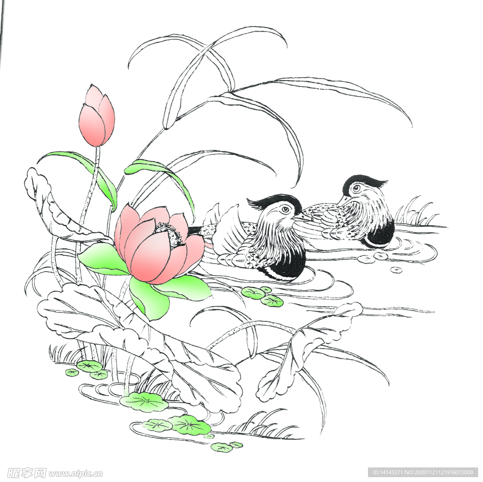 鸳鸯
