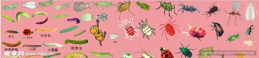 各种害虫