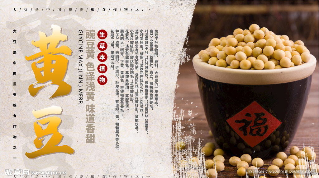 黄豆