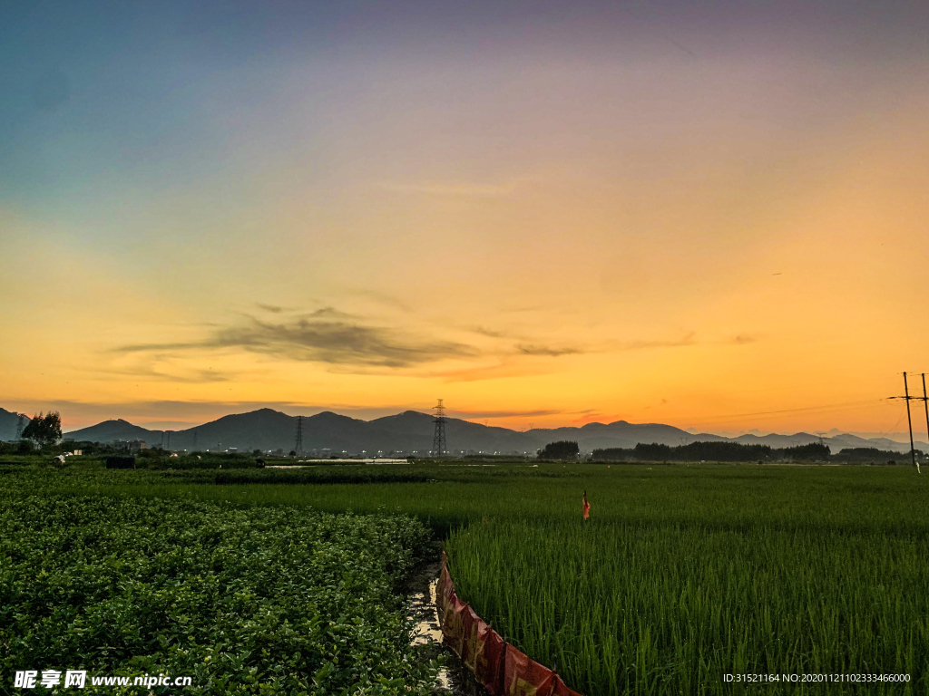 黄昏的稻田与山拍摄图