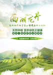 西湖龙井茶叶宣传海报