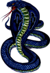眼镜蛇