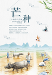 芒种	芒种海报