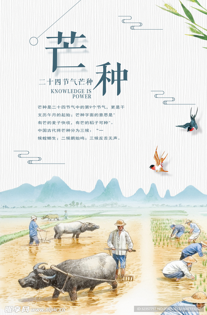 芒种	芒种海报