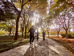 秋季公园散步
