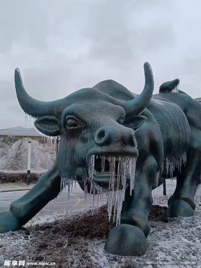 冬天  冰雪 冰牛  下雪了