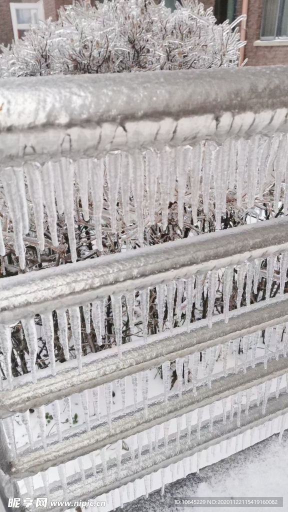 雪  下雪  冬天