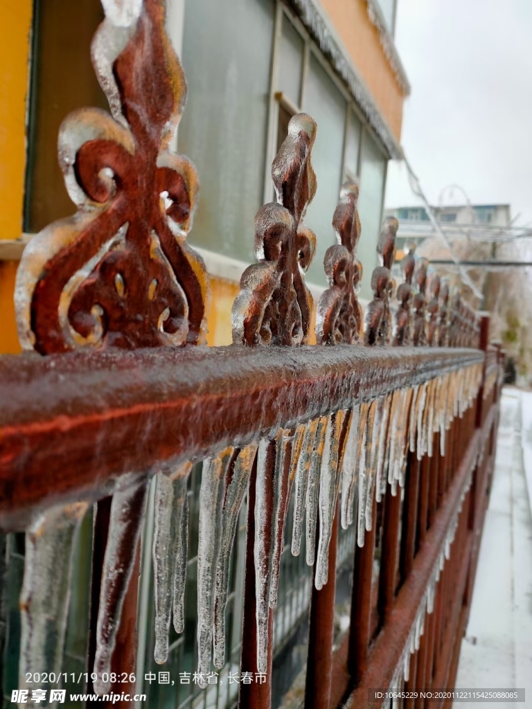 冰雪世界  冬北  冰  雪