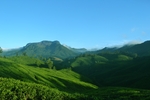 茶山墙纸 茶山素材 茶山壁纸