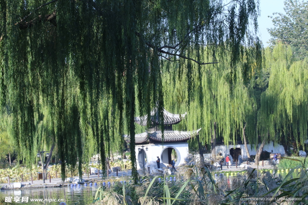园林风景