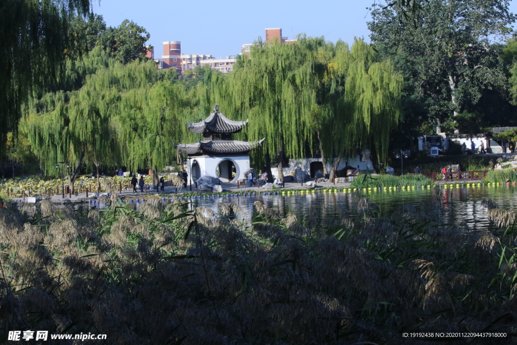园林风景
