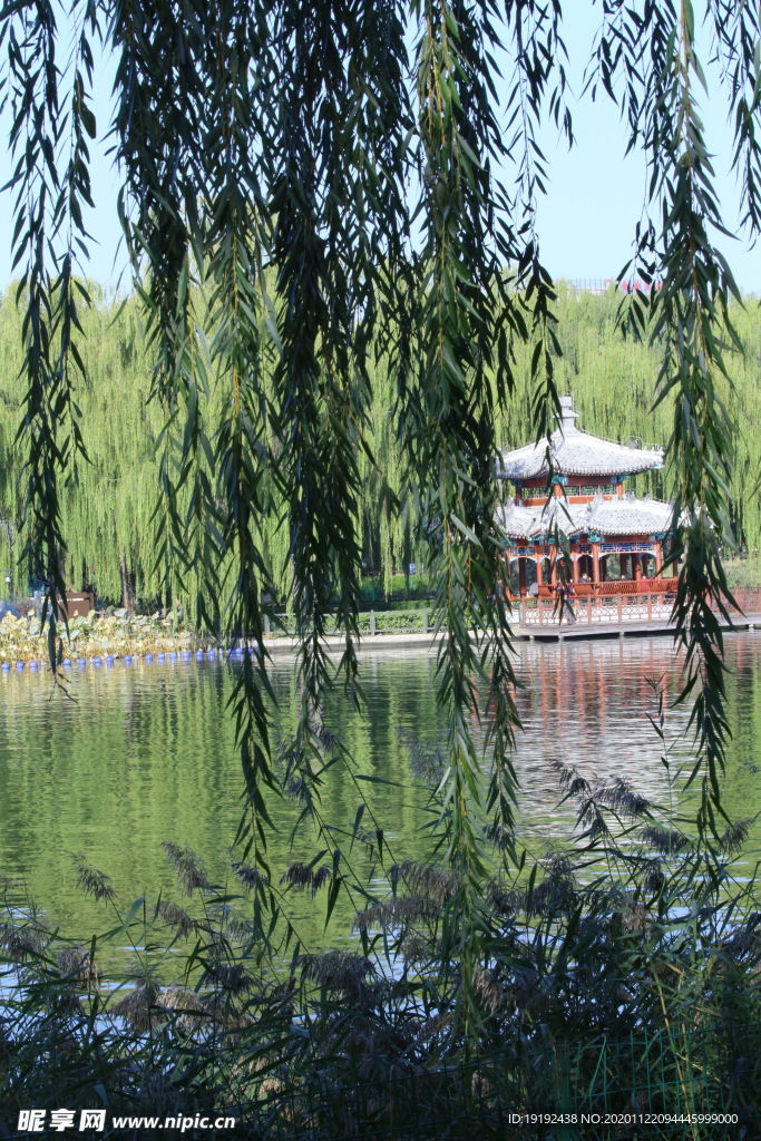 园林风景