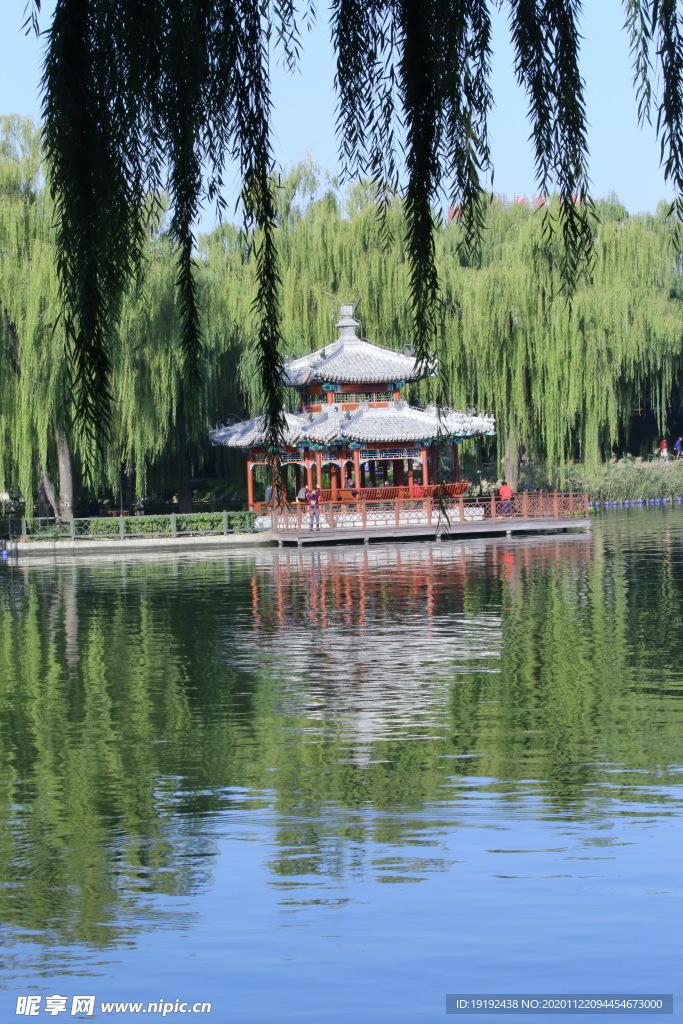 园林风景