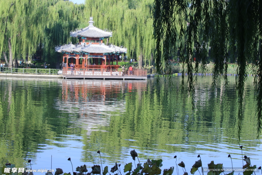 陶然亭风景