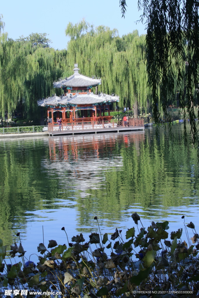 园林风景