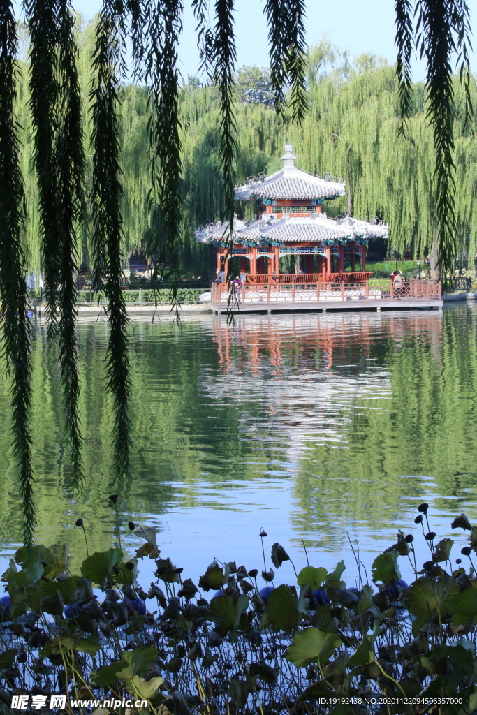 园林风景
