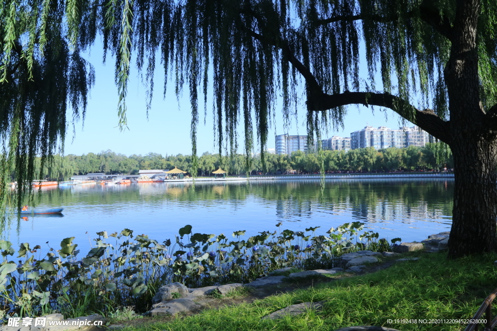 园林风景