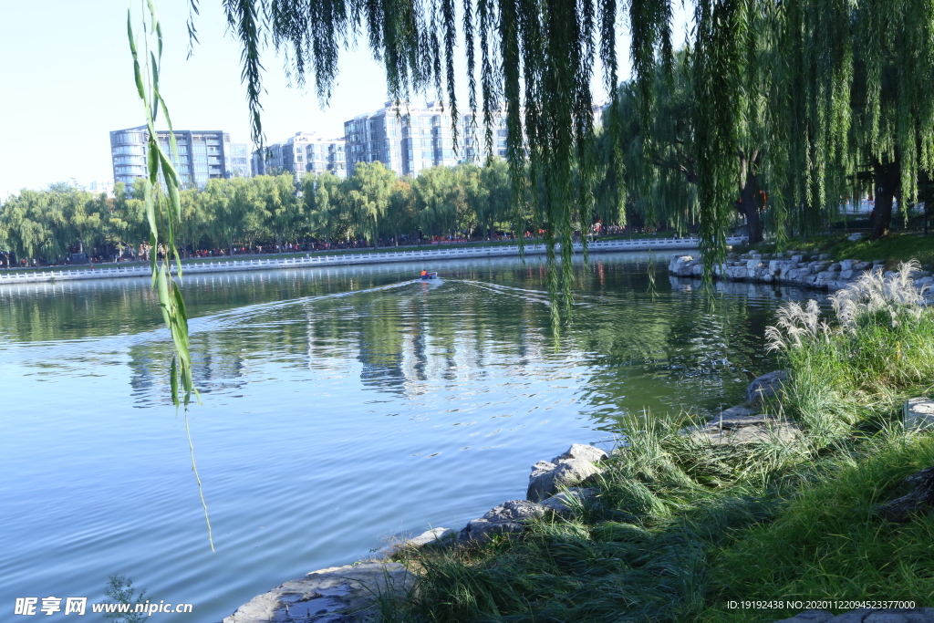 园林风景
