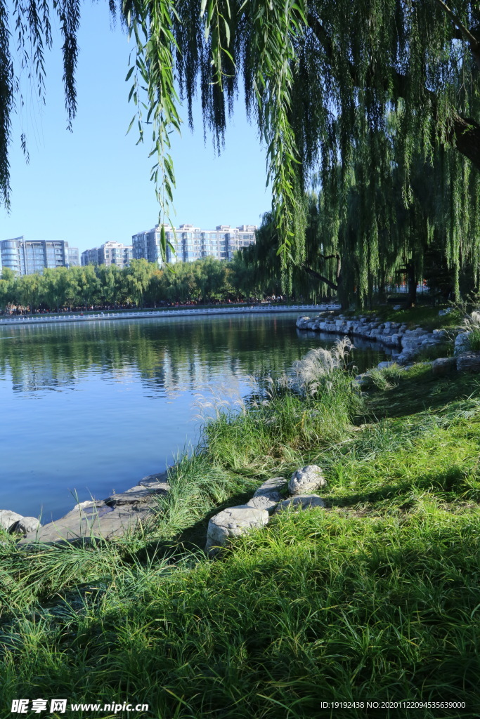 园林风景