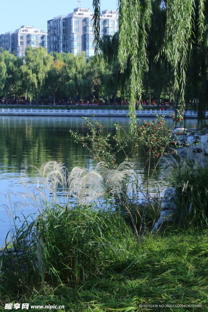 园林风景