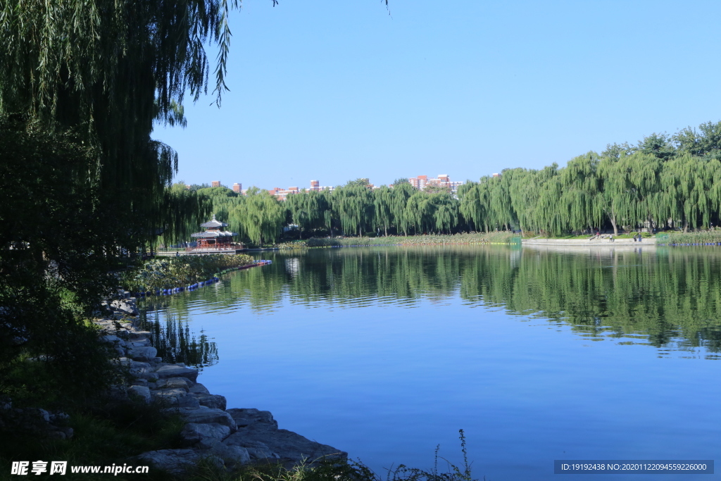 园林风景
