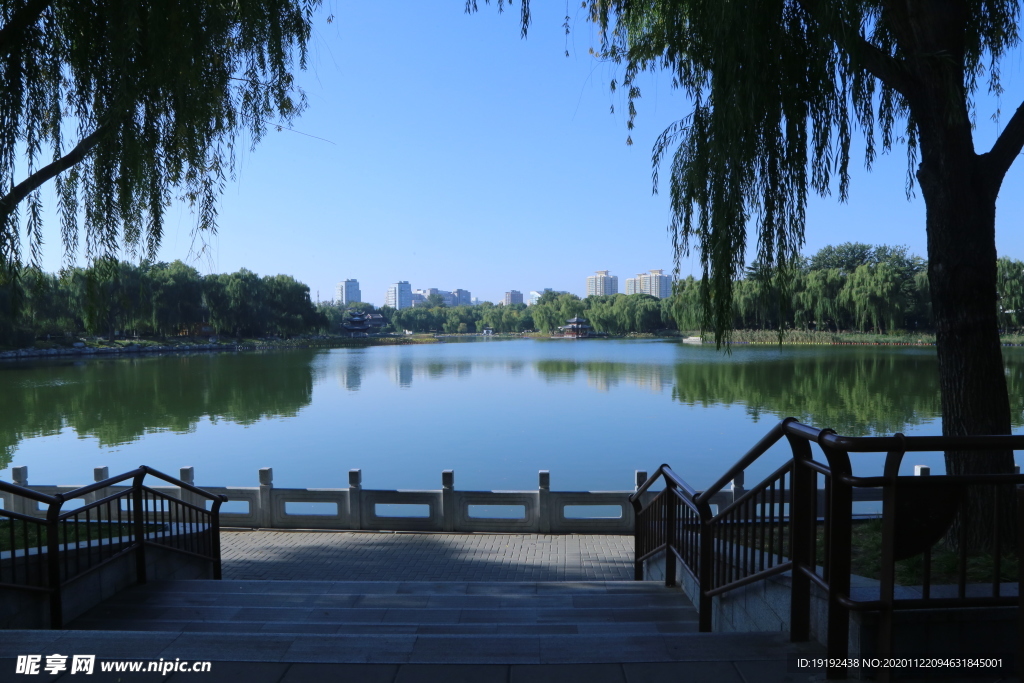 园林风景