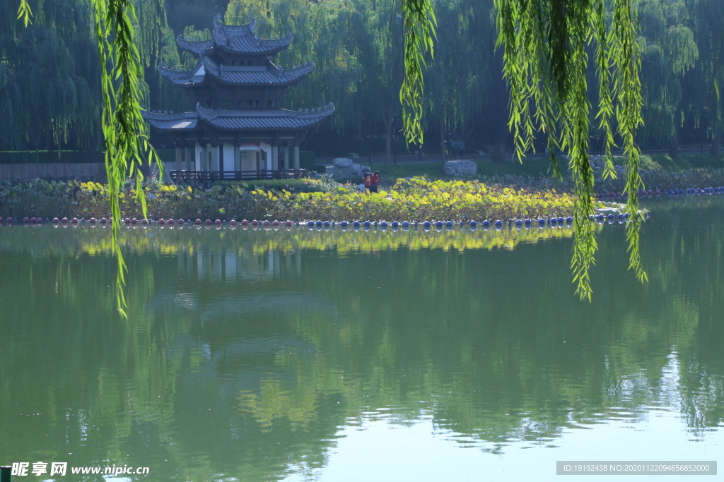园林风景