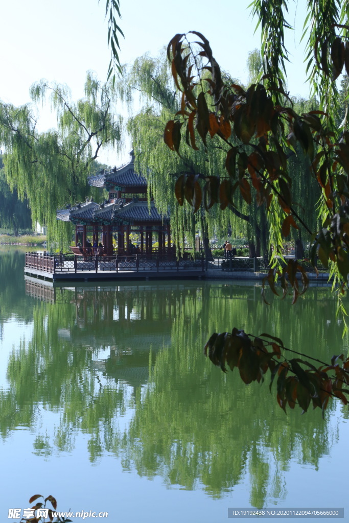 园林风景