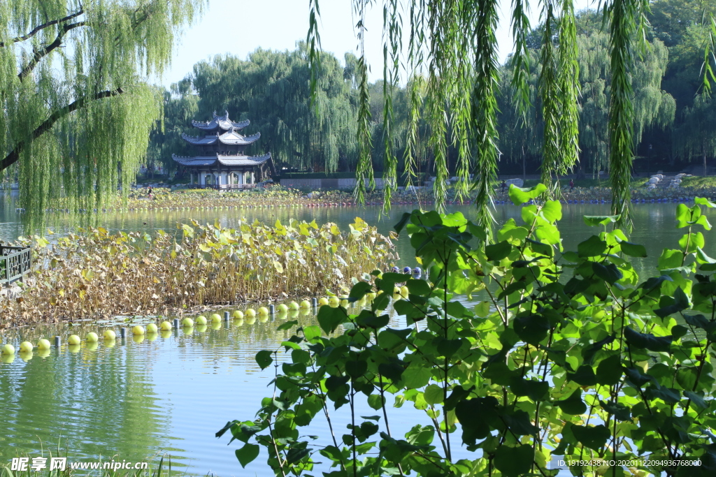 园林风景