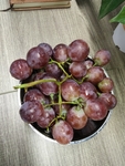 葡萄