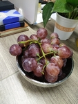 葡萄