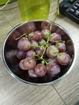 葡萄