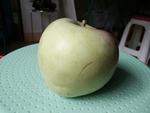 苹果