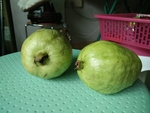 石榴