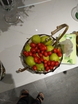 蕃茄