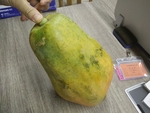 木瓜