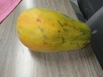 木瓜
