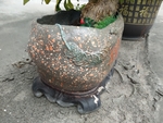 瓷砖