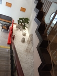 店面设计