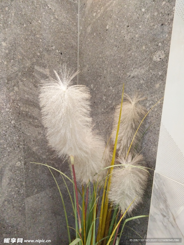 花卉