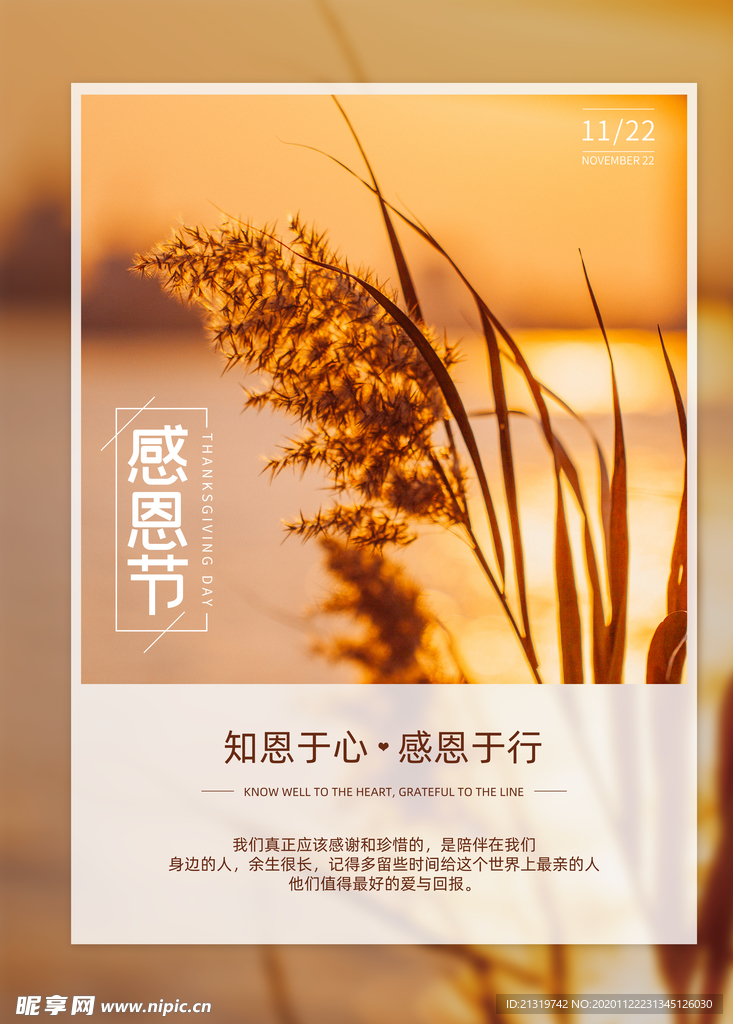 感恩节