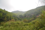 乡村景色