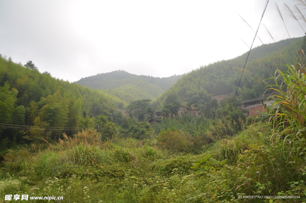 乡村景色